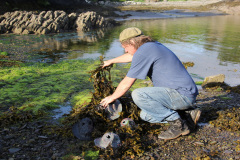 Tribal-Loop-Opera-Detlef-Schlich-Masks Research